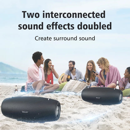 ZEALOT S67 , Enceinte Haut-parleurs portable, haut-parleur karaoké avec un Microphone, amplificateur de voix, micro Portable, parfait pour les enfants et les adultes